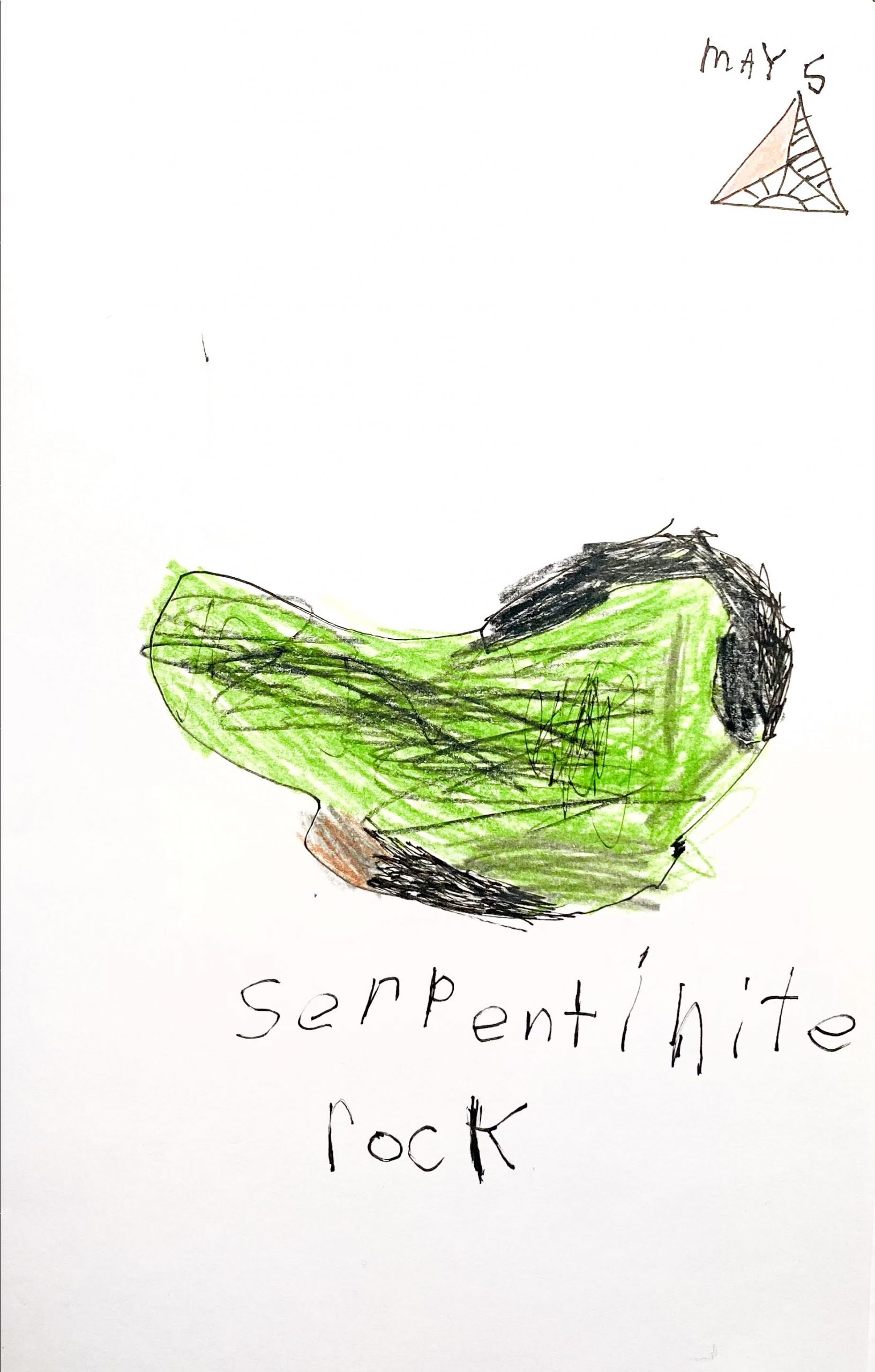 A fun free visual nature journal prompt. Data visualization for kids.