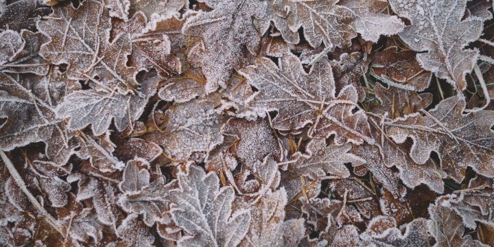 A Printable Winter Special Spot Journal