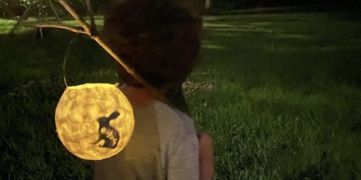 Harvest Moon Lanterns