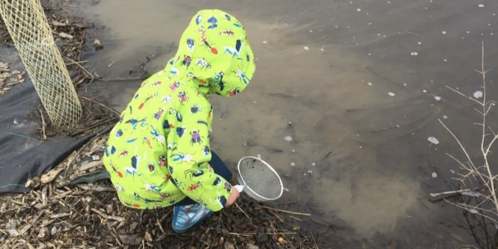 Vernal Pools & Spring Pond Dipping