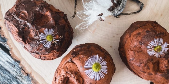 Milkweed Skull Seed Bombs for Samhain/ Dia De Muertos