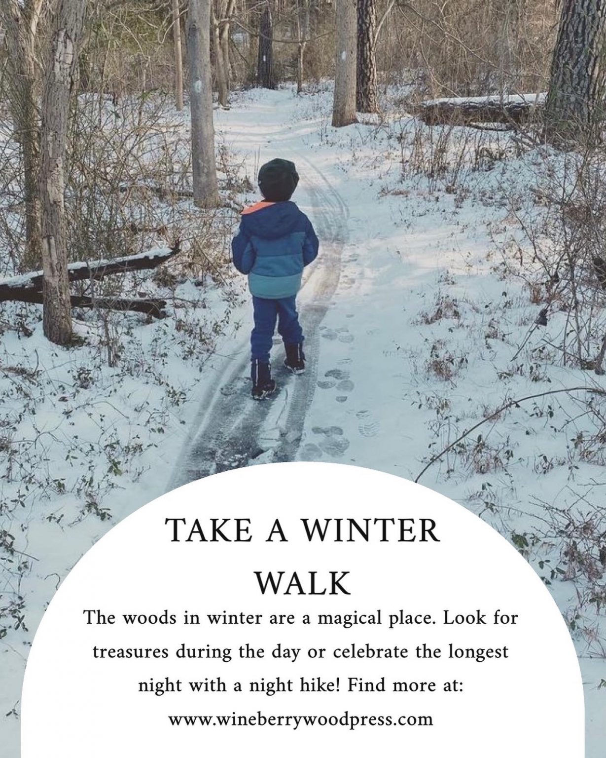 Winter Solstice Nature Activities for Kids Wineberry Wood Press