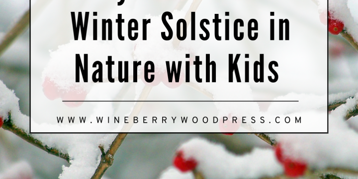 Winter Solstice Nature Activities for Kids