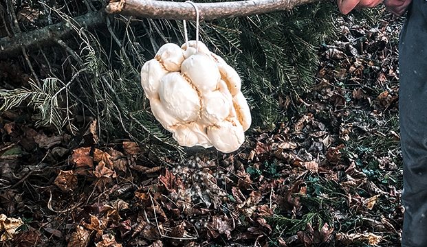 Edible Snowing Clouds for Midwinter