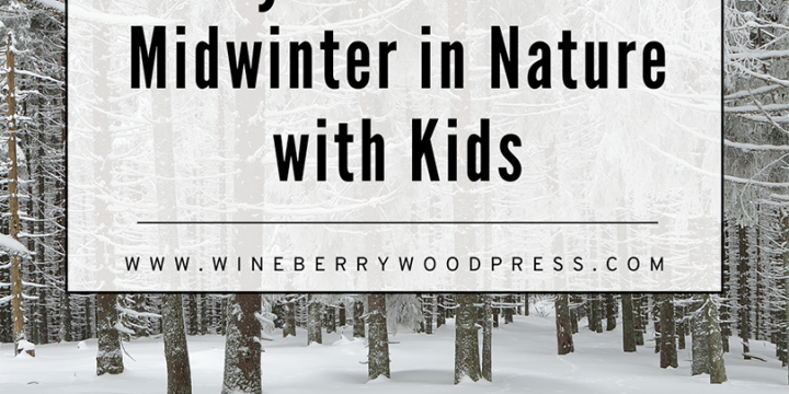 Midwinter Nature Activities for Kids