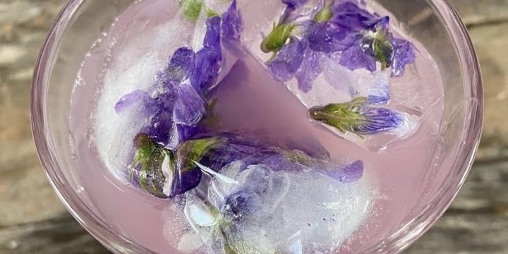 Magical Color Changing Violet Lemonade
