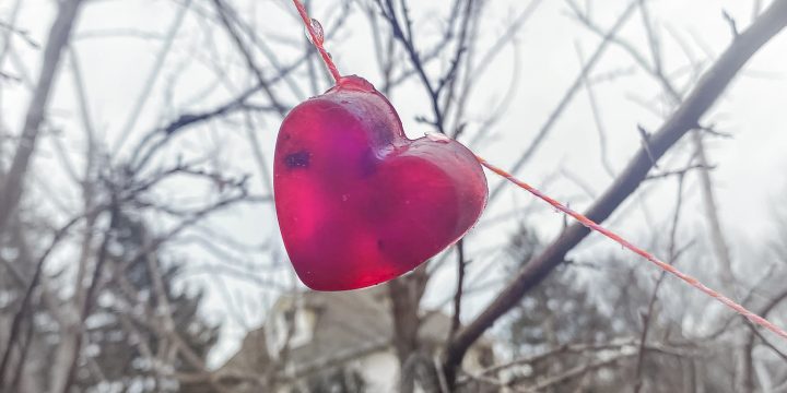 Red Berry Ice Heart Garland for Bird Friends