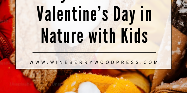 Celebrating Valentine’s Day in Nature with Children!