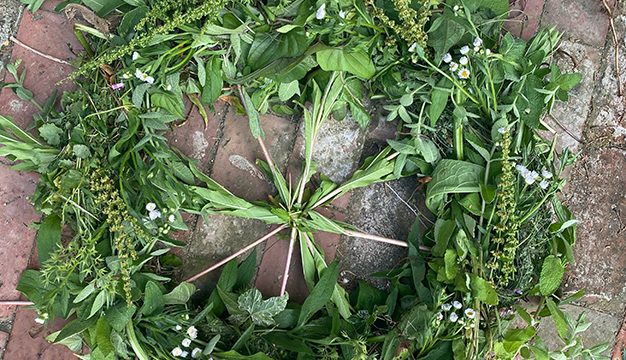 Summer Solstice Fire Wheel