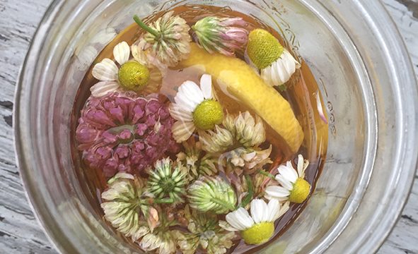 Brew Some Summer Sun Tea