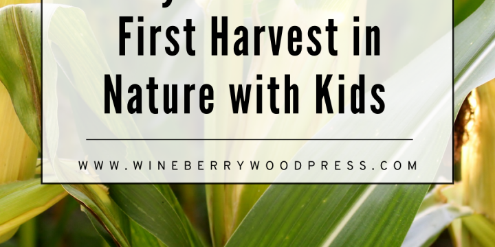 Celebrating First Harvest in Nature with Children