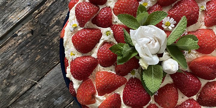 Strawberry Moon Cake