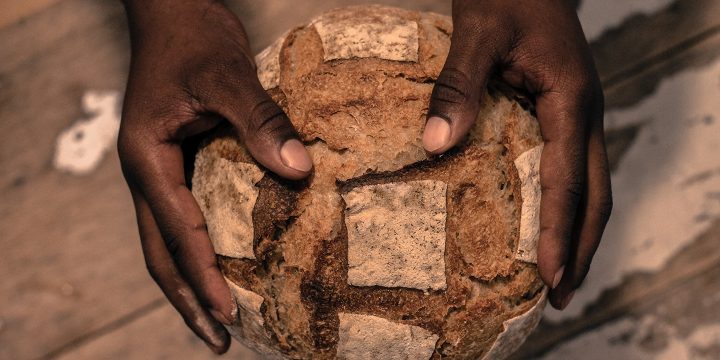 Bake Bread & Cook with Grains