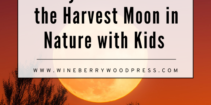 Celebrating the Harvest Moon with Kids in Nature
