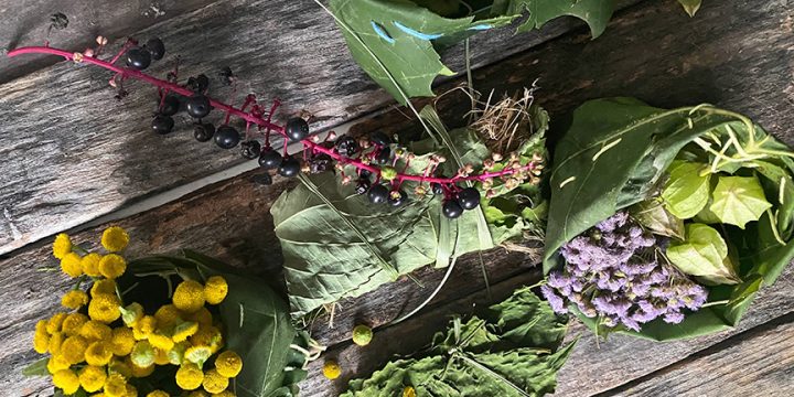 Little Leaf Baskets to Store up for Winter