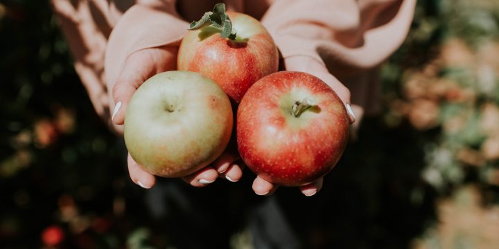 Fall Apple Picking Hike