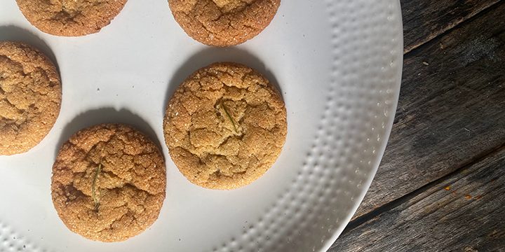 Orange, Rosemary, Tahini and Honey Cookies