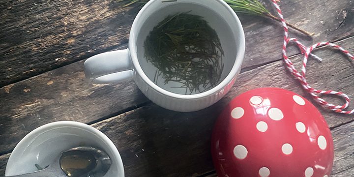 Pine Needle Tea