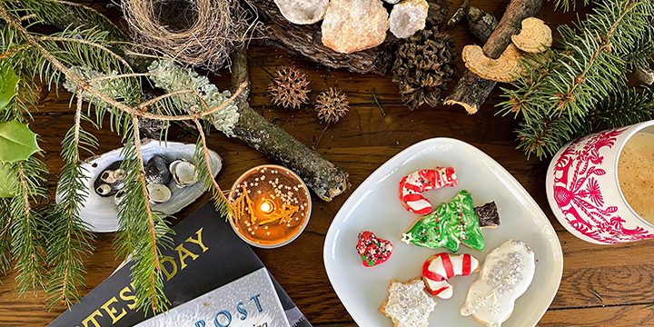 Winter Nature Table