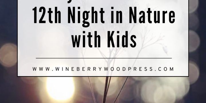 Fun Nature-y Ways to Celebrate 12th Night with Kids