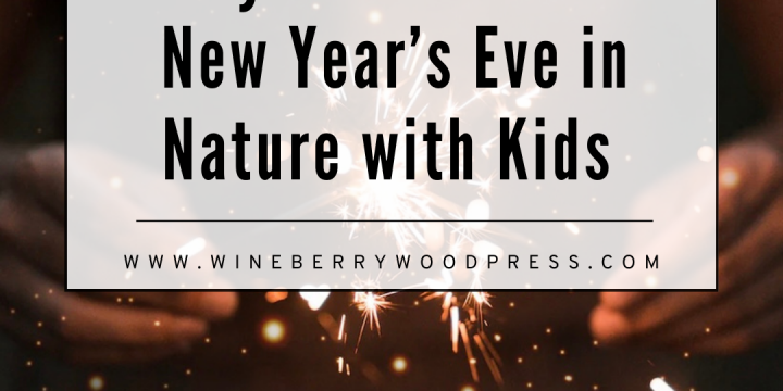 Fun Nature-y Ways to Celebrate New Years Eve with Kids