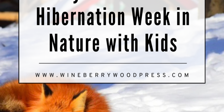 Fun Ways to Study and Celebrate Hibernation!