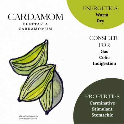 Cardamom