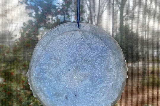 Frost Moon Sun Catcher