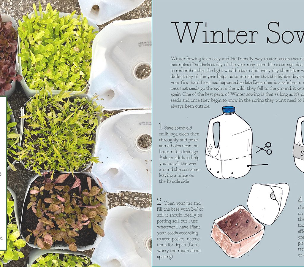 winter sowing activity page
