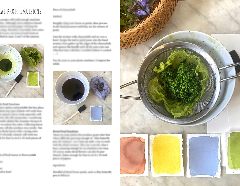 anthotype directions
