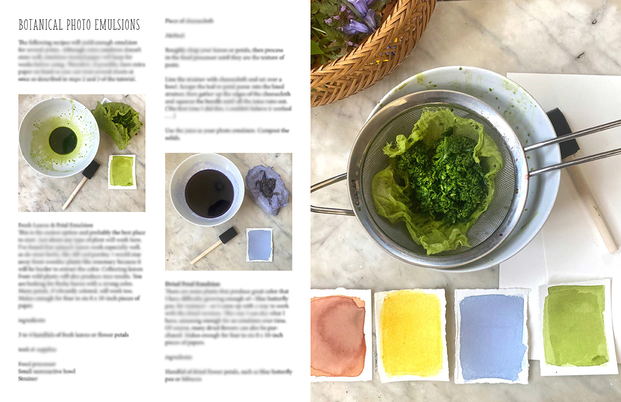 anthotype directions