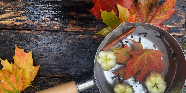 Autumn Equinox Simmer Pot