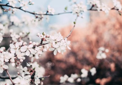 What is Spring Equinox?