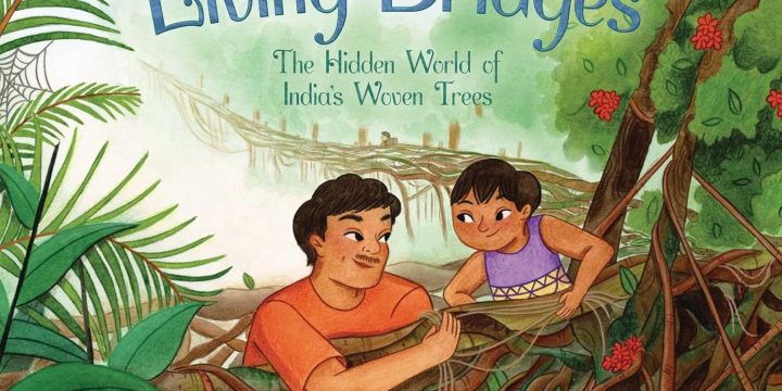“Living Bridges: The Hidden World of India’s Woven Trees”