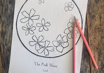 What is the Pink Moon & a Coloring Page