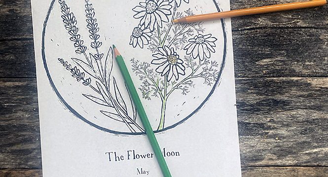 What is the Flower Moon & a Coloring Page