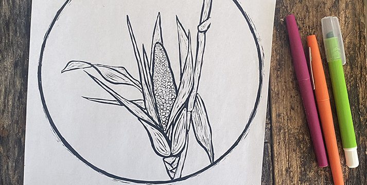 What is the Green Corn Moon & a Coloring Page