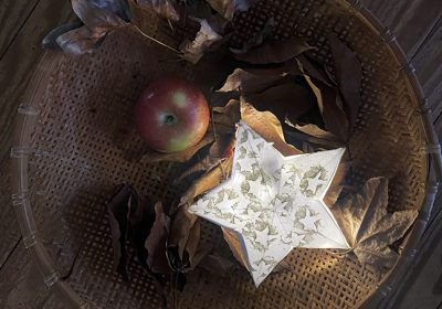 Apple Star Lanterns