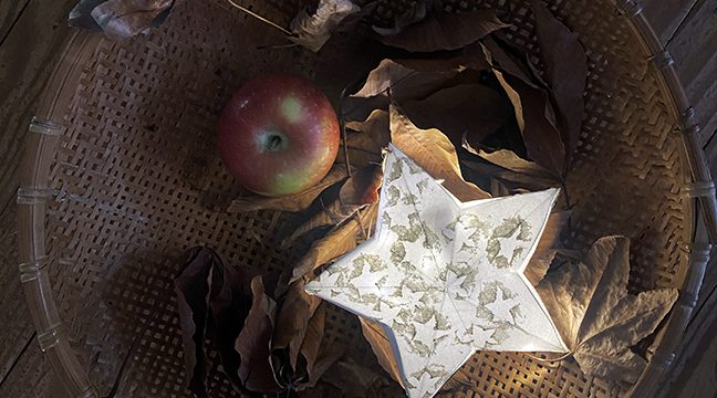 Apple Star Lanterns