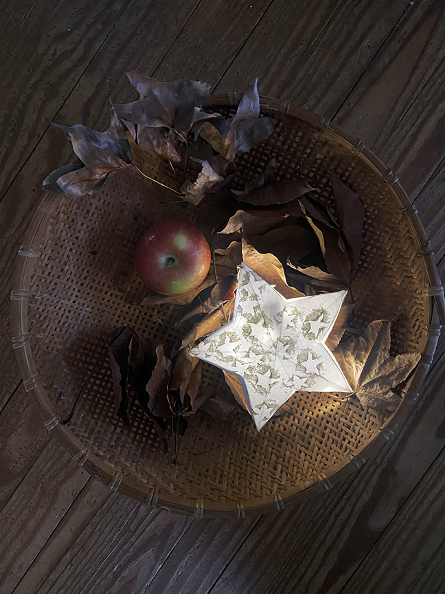 Wineberry Woods Apple Star Lanterns 2