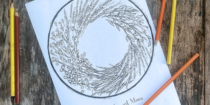 What is the Harvest Moon & a Coloring Page